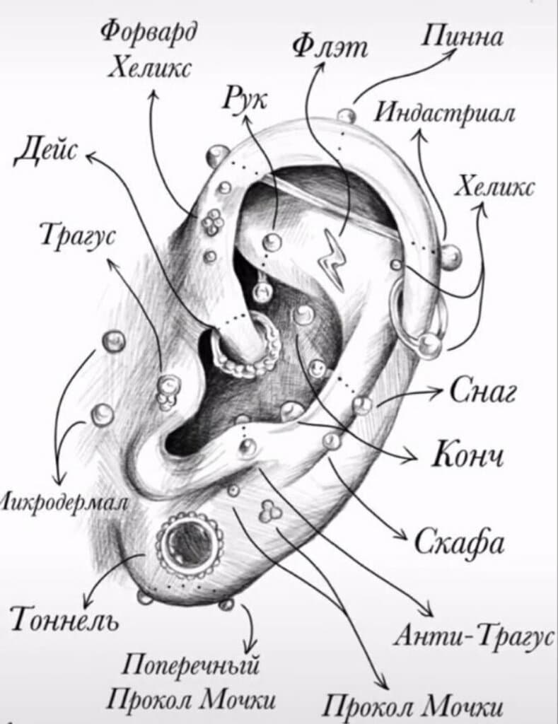 Салон красоты Piercing House