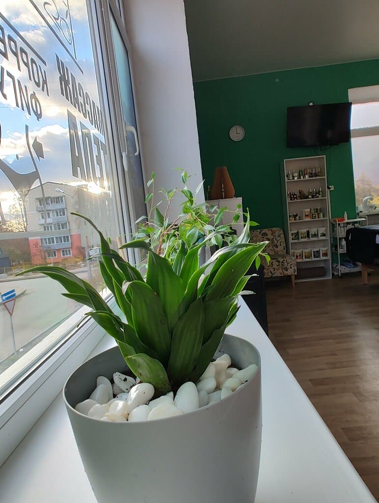 Салон красоты Промята