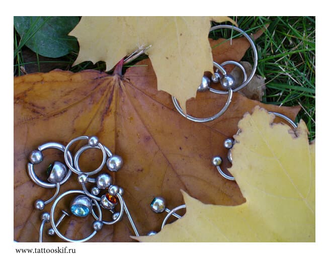 Салон красоты Терра Скифика