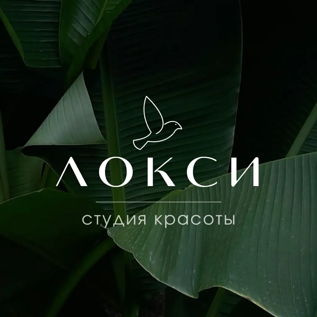 Салон красоты студия красоты ЛОКСИ